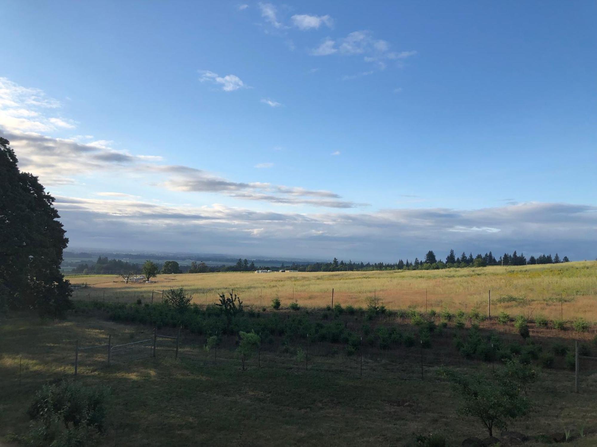2 Bedroom Suite: Views, Private Entrance, Evchgr Amity 外观 照片